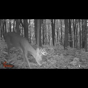 Meet your Posher, Jack